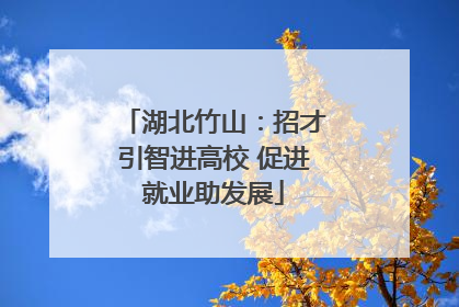 湖北竹山：招才引智进高校 促进就业助发展