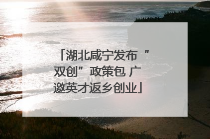 湖北咸宁发布“双创”政策包 广邀英才返乡创业