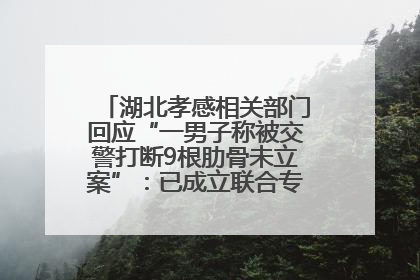湖北孝感相关部门回应“一男子称被交警打断9根肋骨未立案”：已成立联合专班开展工作
