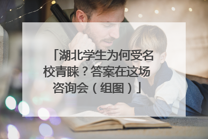 湖北学生为何受名校青睐？答案在这场咨询会（组图）