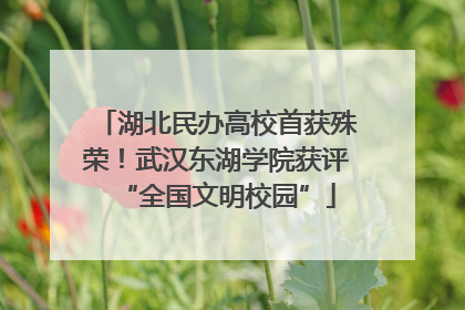 湖北民办高校首获殊荣！武汉东湖学院获评“全国文明校园”