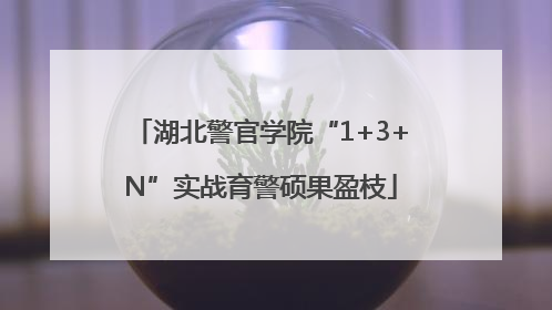 湖北警官学院“1+3+N”实战育警硕果盈枝