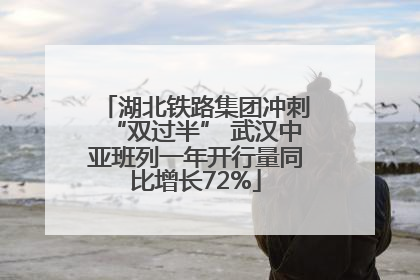 湖北铁路集团冲刺“双过半” 武汉中亚班列一年开行量同比增长72%