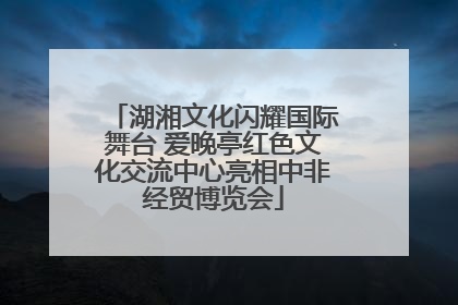 湖湘文化闪耀国际舞台 爱晚亭红色文化交流中心亮相中非经贸博览会