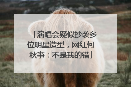 演唱会疑似抄袭多位明星造型，网红何秋亊：不是我的错