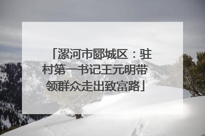 漯河市郾城区：驻村第一书记王元明带领群众走出致富路