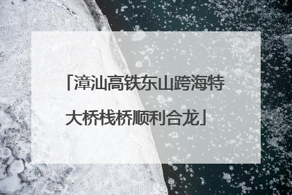 漳汕高铁东山跨海特大桥栈桥顺利合龙