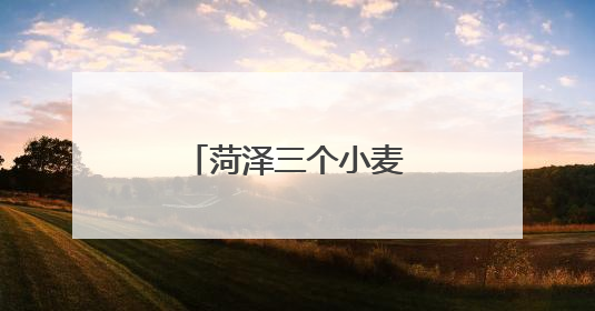 菏泽三个小麦新品种在新疆戈壁滩试种成功