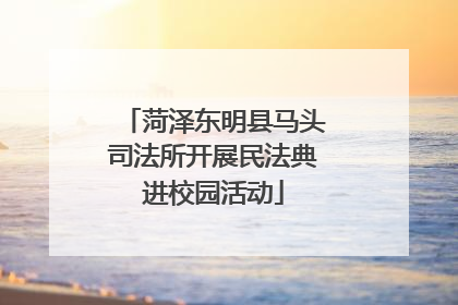 菏泽东明县马头司法所开展民法典进校园活动