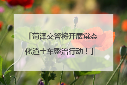 菏泽交警将开展常态化渣土车整治行动！