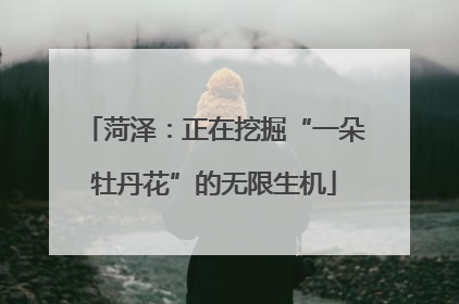 菏泽：正在挖掘“一朵牡丹花”的无限生机