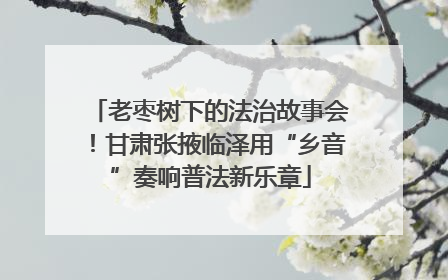 老枣树下的法治故事会！甘肃张掖临泽用“乡音”奏响普法新乐章