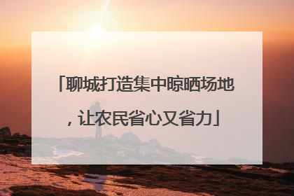 聊城打造集中晾晒场地，让农民省心又省力