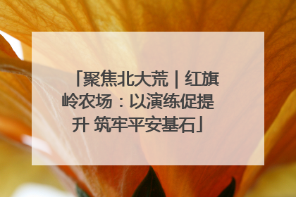 聚焦北大荒｜红旗岭农场：以演练促提升 筑牢平安基石