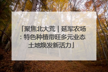 聚焦北大荒｜延军农场：特色种植带旺多元业态 土地焕发新活力