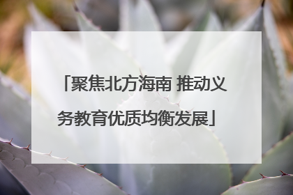 聚焦北方海南 推动义务教育优质均衡发展