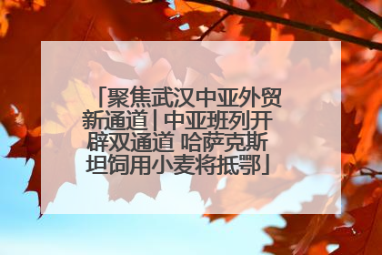 聚焦武汉中亚外贸新通道│中亚班列开辟双通道 哈萨克斯坦饲用小麦将抵鄂