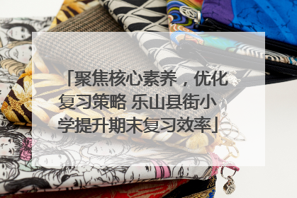 聚焦核心素养，优化复习策略 乐山县街小学提升期末复习效率