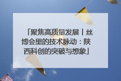 聚焦高质量发展丨丝博会里的技术脉动：陕西科创的突破与想象
