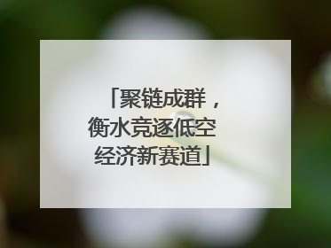 聚链成群，衡水竞逐低空经济新赛道