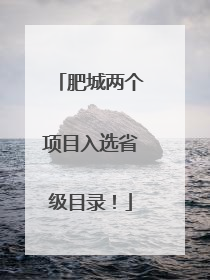 肥城两个项目入选省级目录！