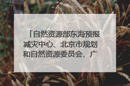 自然资源部东海预报减灾中心、北京市规划和自然资源委员会、广东省林业系统等正在招聘｜招聘信息