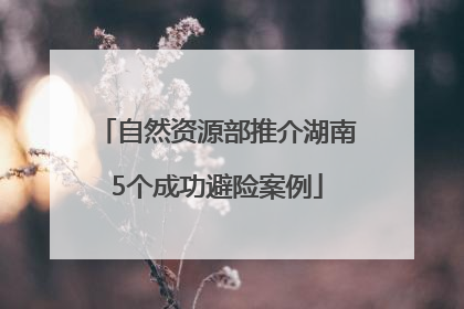 自然资源部推介湖南5个成功避险案例