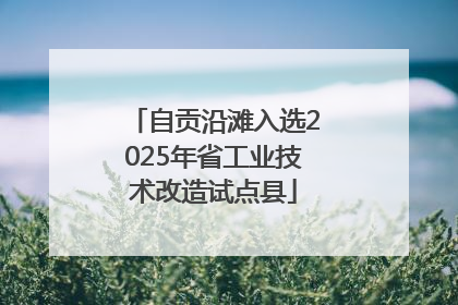 自贡沿滩入选2025年省工业技术改造试点县