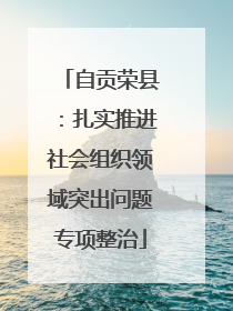 自贡荣县：扎实推进社会组织领域突出问题专项整治