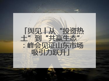 舆见丨从“投资热土”到“共赢生态”：峰会见证山东市场吸引力跃升