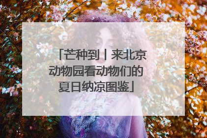芒种到丨来北京动物园看动物们的夏日纳凉图鉴