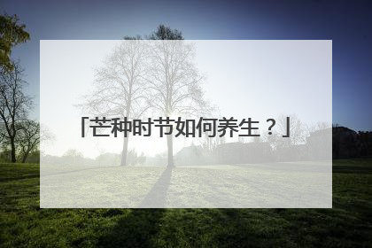 芒种时节如何养生？