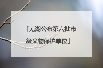 芜湖公布第六批市级文物保护单位