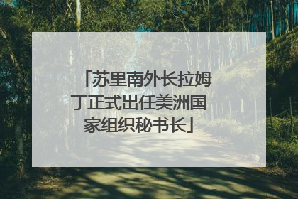 苏里南外长拉姆丁正式出任美洲国家组织秘书长