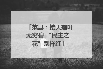 范县：接天莲叶无穷碧 “民主之花”别样红