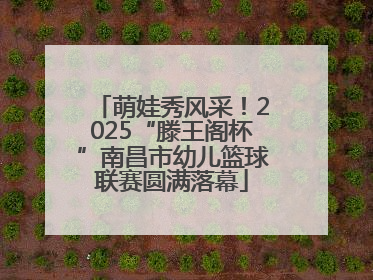 萌娃秀风采！2025“滕王阁杯”南昌市幼儿篮球联赛圆满落幕