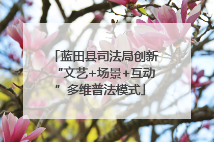 蓝田县司法局创新“文艺+场景+互动”多维普法模式