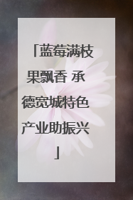 蓝莓满枝果飘香 承德宽城特色产业助振兴