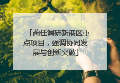 蔺佳调研新港区重点项目，强调协同发展与创新突破