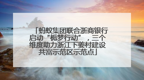 蚂蚁集团联合浙商银行启动“栀梦行动”，三个维度助力浙江下姜村建设共富示范区示范点
