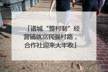 诸城“整村制”经营铺就富民强村路，合作社迎来大丰收