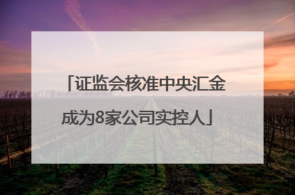 证监会核准中央汇金成为8家公司实控人