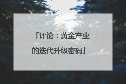 评论：黄金产业的迭代升级密码