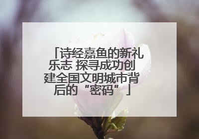 诗经嘉鱼的新礼乐志 探寻成功创建全国文明城市背后的“密码”