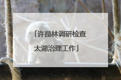 许昆林调研检查太湖治理工作