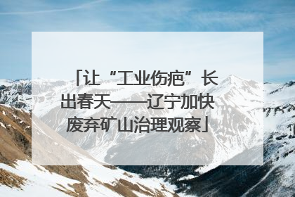 让“工业伤疤”长出春天——辽宁加快废弃矿山治理观察