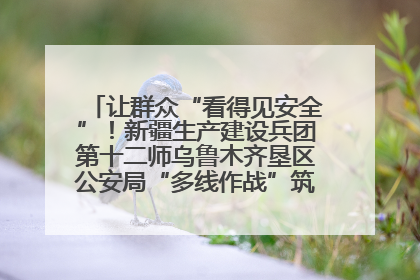 让群众“看得见安全”！新疆生产建设兵团第十二师乌鲁木齐垦区公安局“多线作战”筑牢辖区安全防线