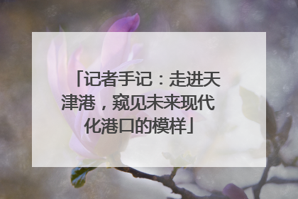 记者手记：走进天津港，窥见未来现代化港口的模样
