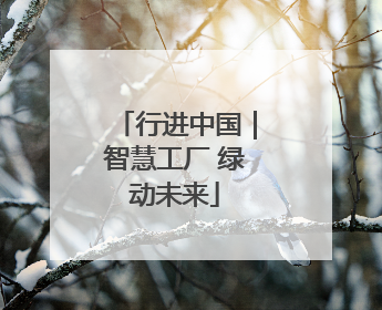 行进中国｜智慧工厂 绿动未来