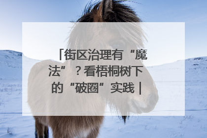 街区治理有“魔法”？看梧桐树下的“破圈”实践｜我在街区当书记